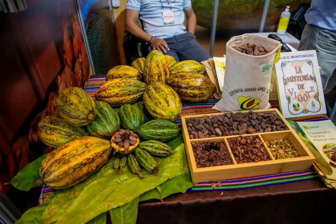 Mazorcas y granos de cacao en distintas etapas de poscosecha sobre una mesa, junto a un saco de la Cooperativa Agraria APPROCAP