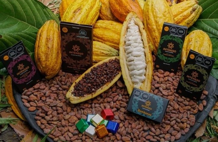 Pasta pura de cacao y chocolates INTENSSO junto a mazorcas y granos de cacao